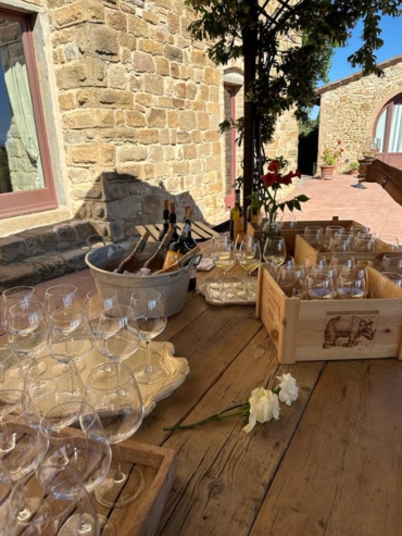 Borgo Petrognano (Wine Tasting)